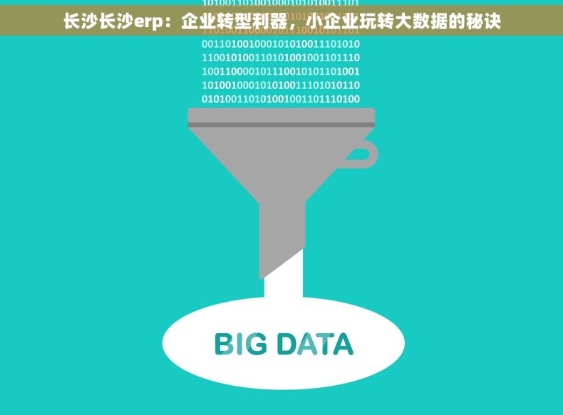 长沙长沙erp：企业转型利器，小企业玩转大数据的秘诀