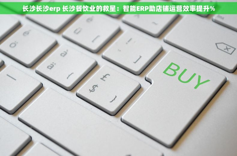 长沙长沙erp 长沙餐饮业的救星：智能ERP助店铺运营效率提升%