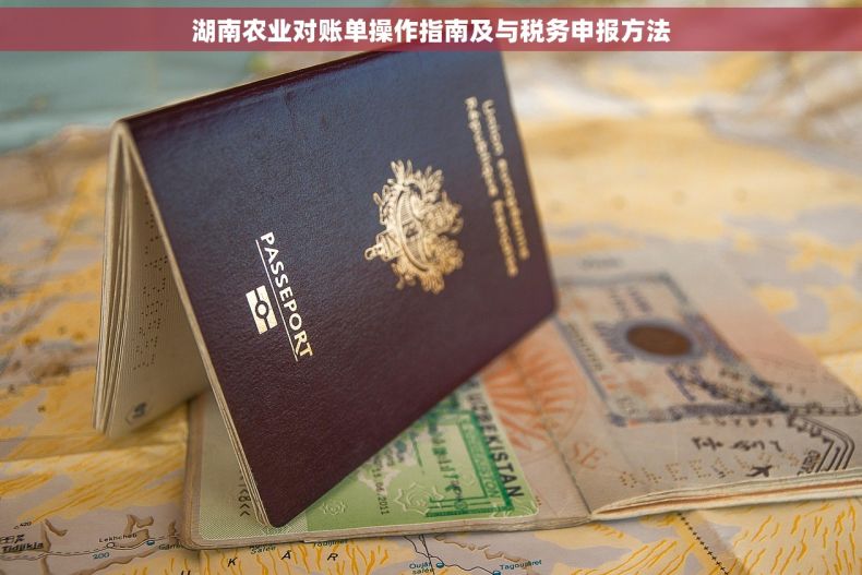 湖南农业对账单操作指南及与税务申报方法