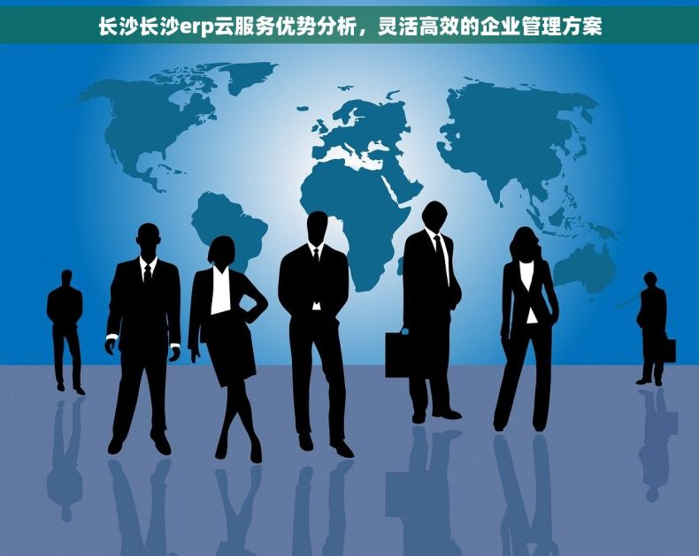 长沙长沙erp云服务优势分析，灵活高效的企业管理方案