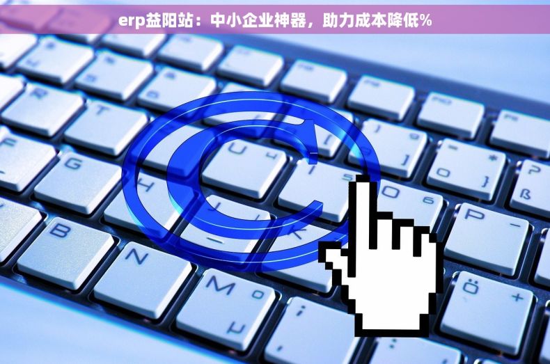 erp益阳站：中小企业神器，助力成本降低%