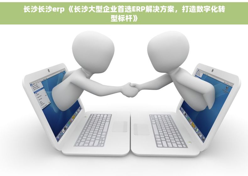 长沙长沙erp 《长沙大型企业首选ERP解决方案，打造数字化转型标杆》