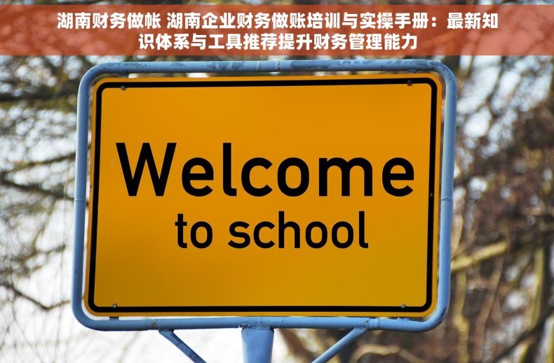 湖南财务做帐 湖南企业财务做账培训与实操手册：最新知识体系与工具推荐提升财务管理能力