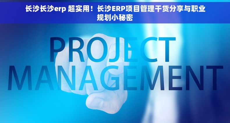 长沙长沙erp 超实用！长沙ERP项目管理干货分享与职业规划小秘密
