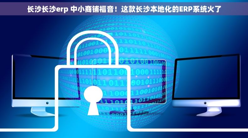 长沙长沙erp 中小商铺福音！这款长沙本地化的ERP系统火了