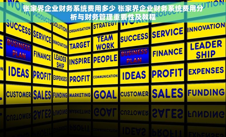 张家界企业财务系统费用多少 张家界企业财务系统费用分析与财务管理重要性及教程