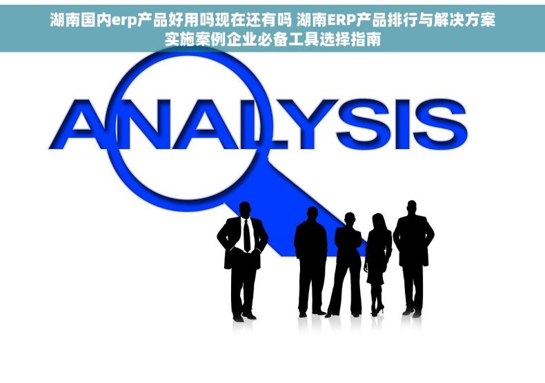 湖南国内erp产品好用吗现在还有吗 湖南ERP产品排行与解决方案实施案例企业必备工具选择指南