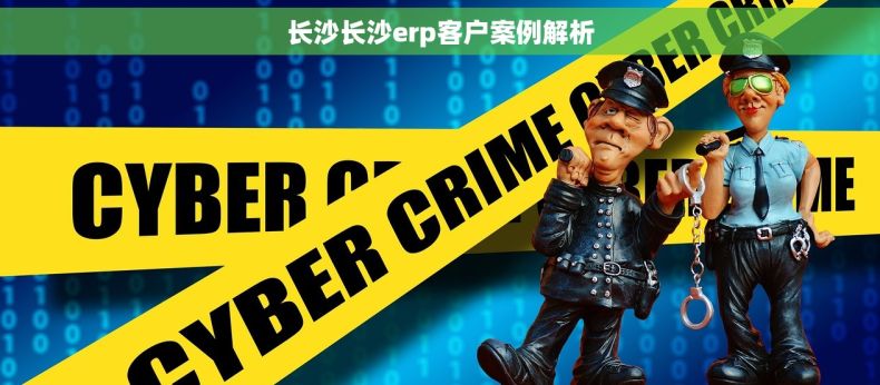 长沙长沙erp客户案例解析