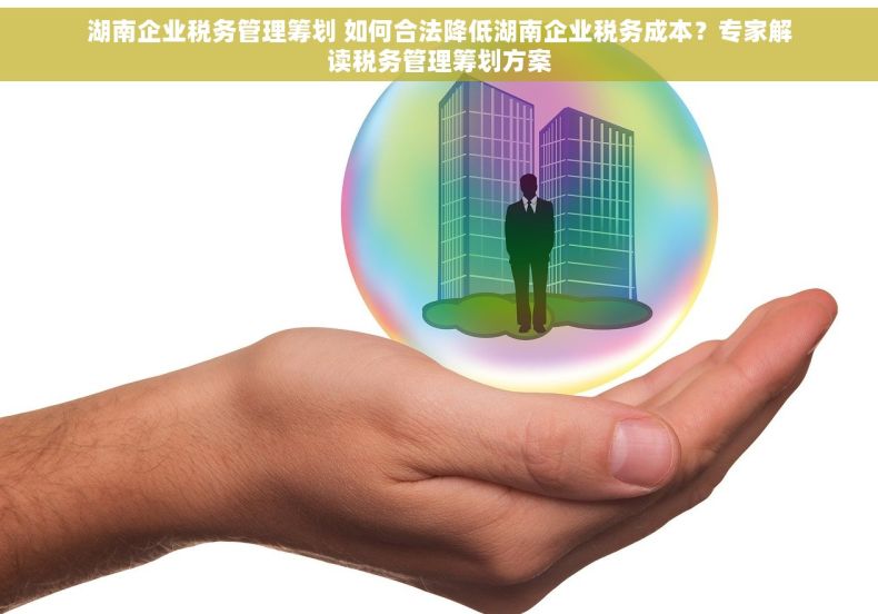湖南企业税务管理筹划 如何合法降低湖南企业税务成本？专家解读税务管理筹划方案