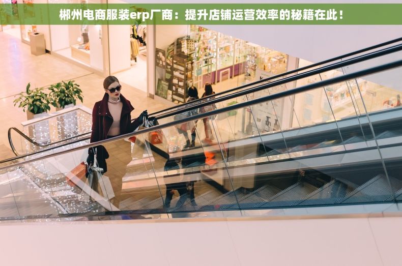 郴州电商服装erp厂商：提升店铺运营效率的秘籍在此！