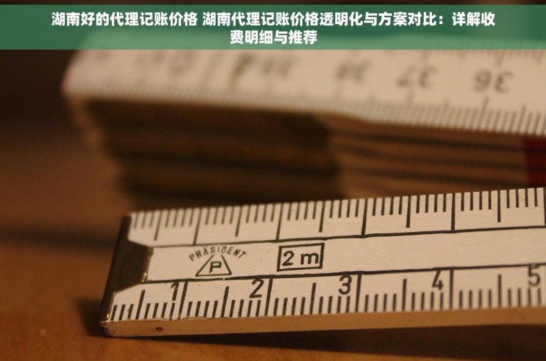 湖南好的代理记账价格 湖南代理记账价格透明化与方案对比：详解收费明细与推荐