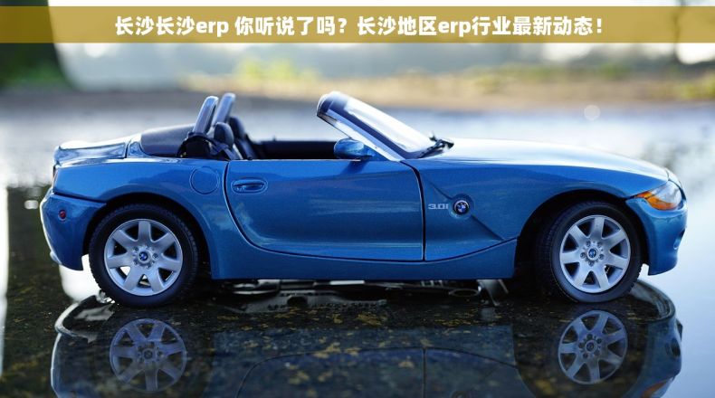 长沙长沙erp 你听说了吗？长沙地区erp行业最新动态！