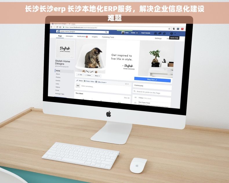 长沙长沙erp 长沙本地化ERP服务，解决企业信息化建设难题
