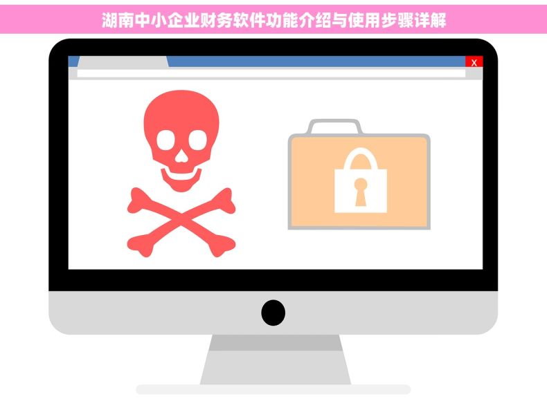 湖南中小企业财务软件功能介绍与使用步骤详解