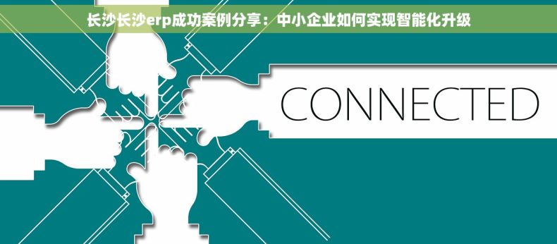长沙长沙erp成功案例分享：中小企业如何实现智能化升级