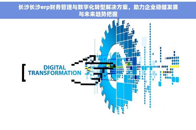 长沙长沙erp财务管理与数字化转型解决方案，助力企业稳健发展与未来趋势把握