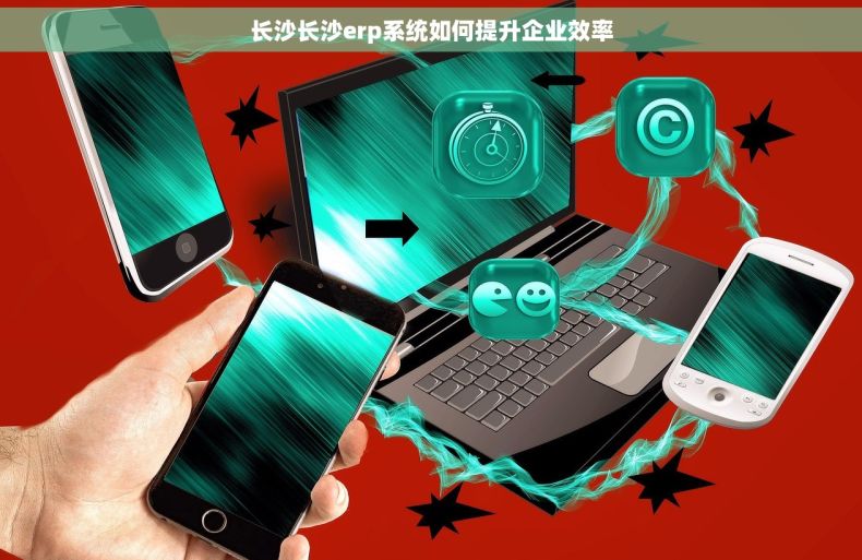 长沙长沙erp系统如何提升企业效率