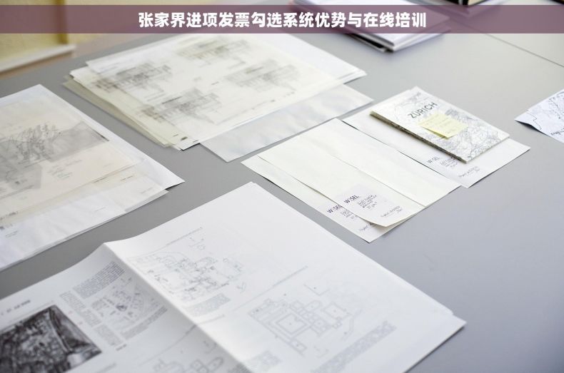 张家界进项发票勾选系统优势与在线培训