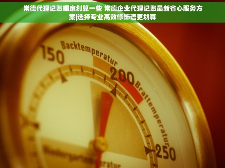 常德代理记账哪家划算一些 常德企业代理记账最新省心服务方案|选择专业高效修饰语更划算