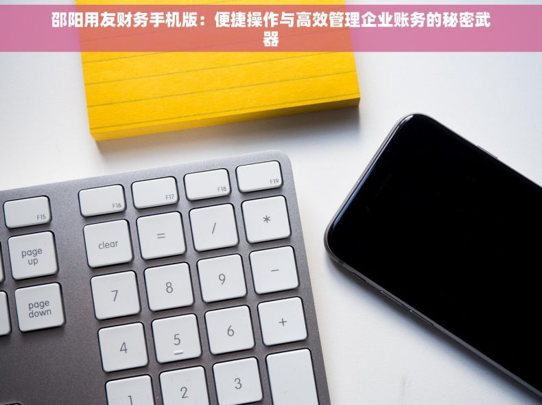邵阳用友财务手机版：便捷操作与高效管理企业账务的秘密武器