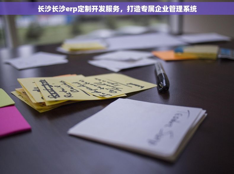 长沙长沙erp定制开发服务，打造专属企业管理系统
