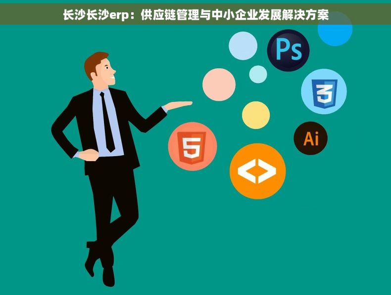 长沙长沙erp：供应链管理与中小企业发展解决方案