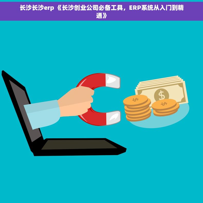 长沙长沙erp 《长沙创业公司必备工具，ERP系统从入门到精通》