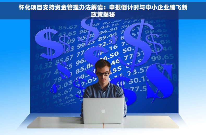 怀化项目支持资金管理办法解读：申报倒计时与中小企业腾飞新政策揭秘