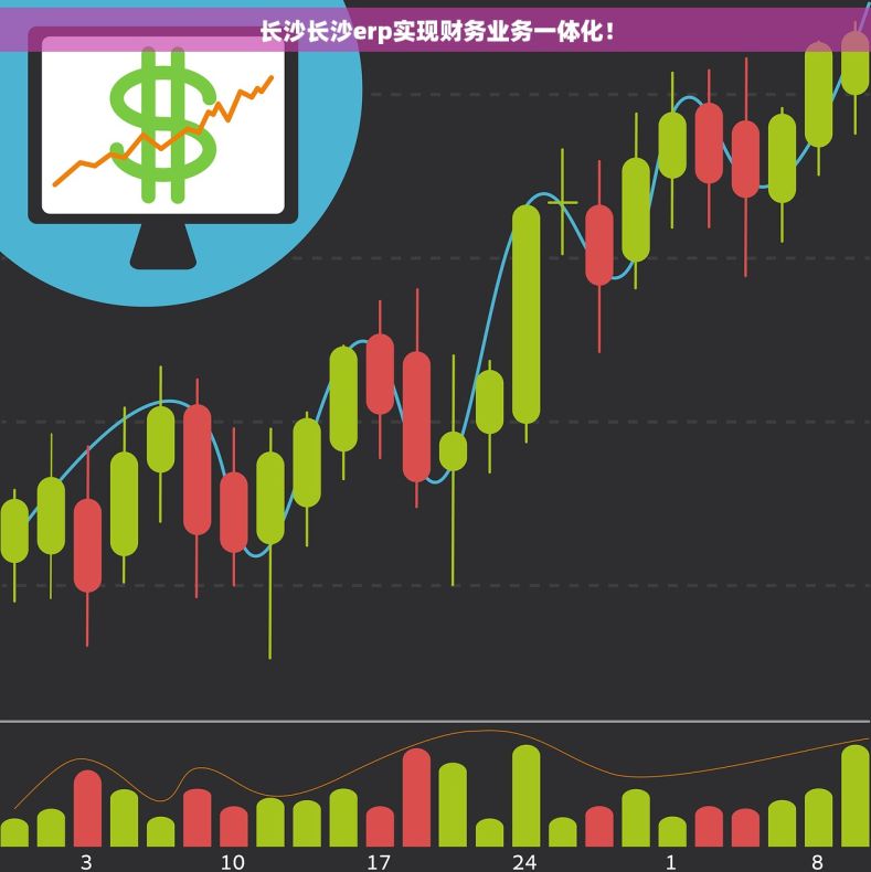 长沙长沙erp实现财务业务一体化！