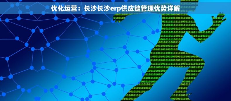 优化运营：长沙长沙erp供应链管理优势详解