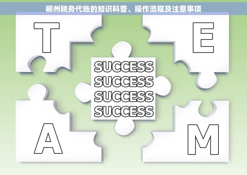 郴州税务代账的知识科普、操作流程及注意事项
