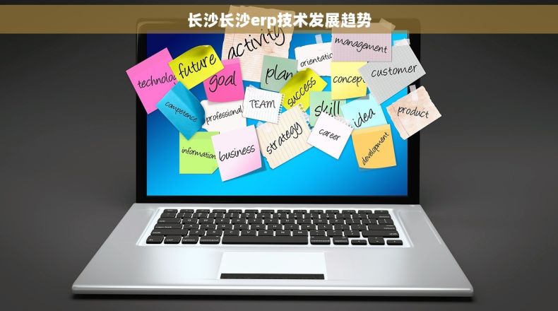 长沙长沙erp技术发展趋势