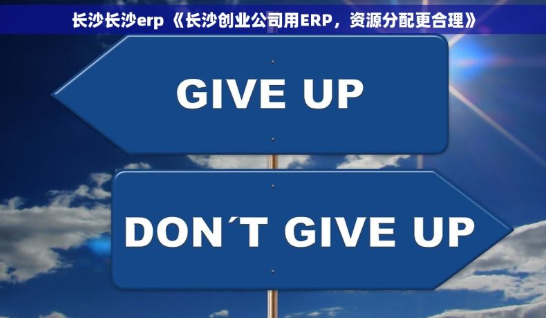 长沙长沙erp 《长沙创业公司用ERP，资源分配更合理》