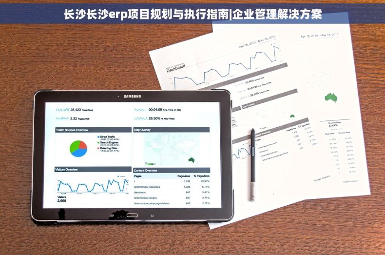 长沙长沙erp项目规划与执行指南|企业管理解决方案