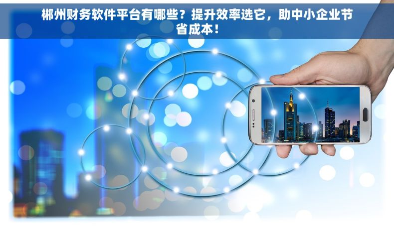 郴州财务软件平台有哪些？提升效率选它，助中小企业节省成本！