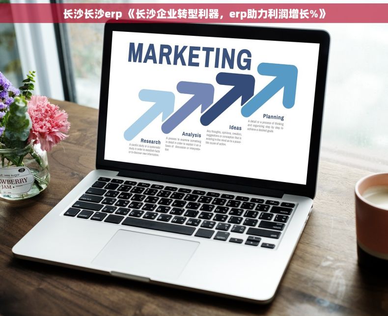 长沙长沙erp 《长沙企业转型利器，erp助力利润增长%》