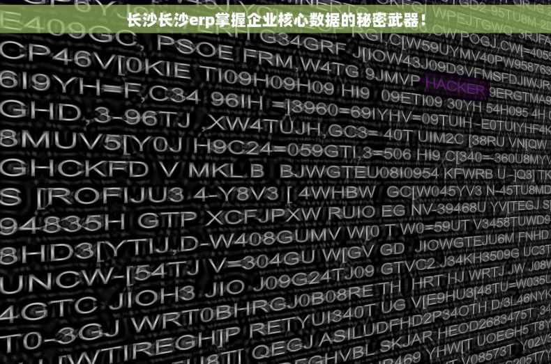 长沙长沙erp掌握企业核心数据的秘密武器！