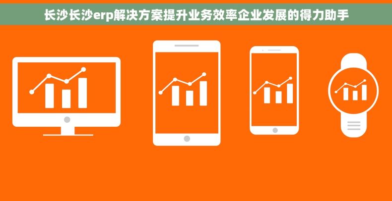 长沙长沙erp解决方案提升业务效率企业发展的得力助手