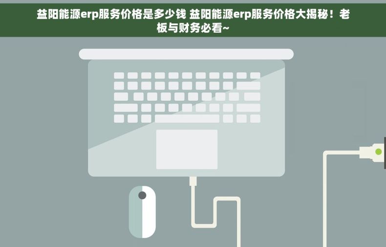 益阳能源erp服务价格是多少钱 益阳能源erp服务价格大揭秘！老板与财务必看~