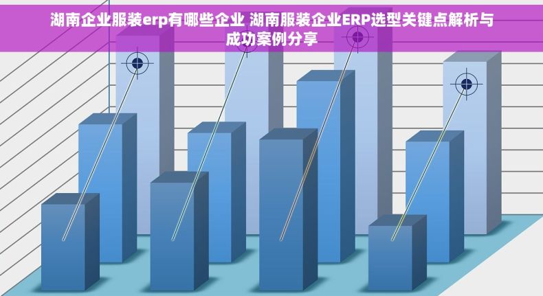 湖南企业服装erp有哪些企业 湖南服装企业ERP选型关键点解析与成功案例分享