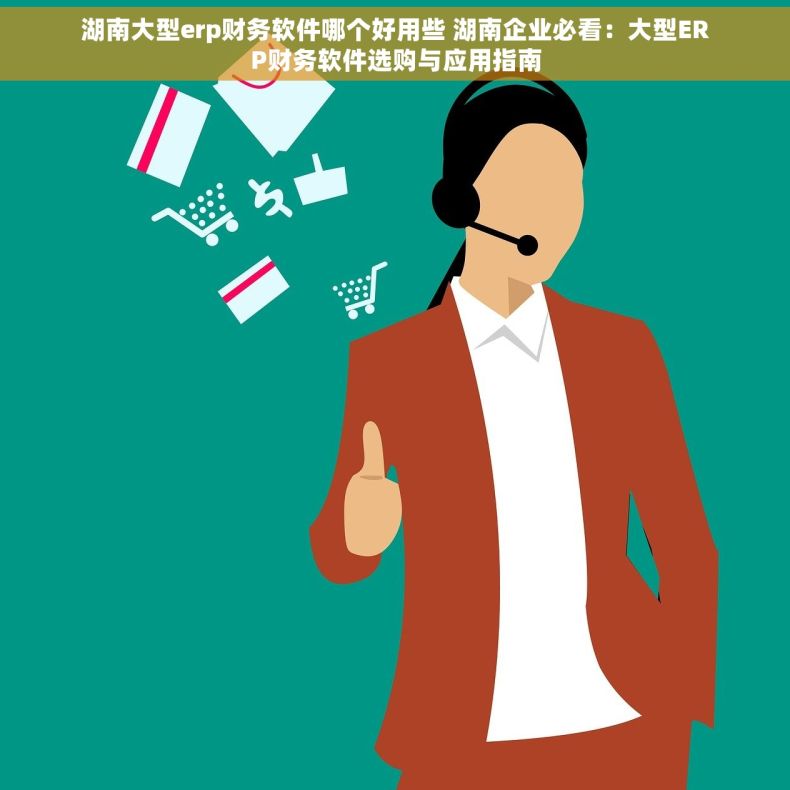 湖南大型erp财务软件哪个好用些 湖南企业必看：大型ERP财务软件选购与应用指南