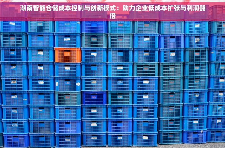 湖南智能仓储成本控制与创新模式：助力企业低成本扩张与利润翻倍