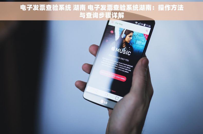 电子发票查验系统 湖南 电子发票查验系统湖南：操作方法与查询步骤详解