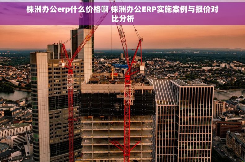 株洲办公erp什么价格啊 株洲办公ERP实施案例与报价对比分析