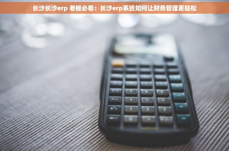 长沙长沙erp 老板必看：长沙erp系统如何让财务管理更轻松