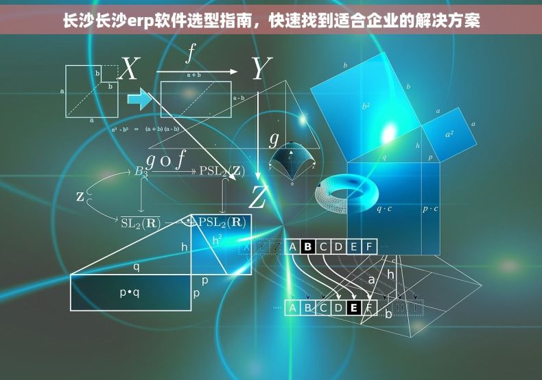 长沙长沙erp软件选型指南，快速找到适合企业的解决方案