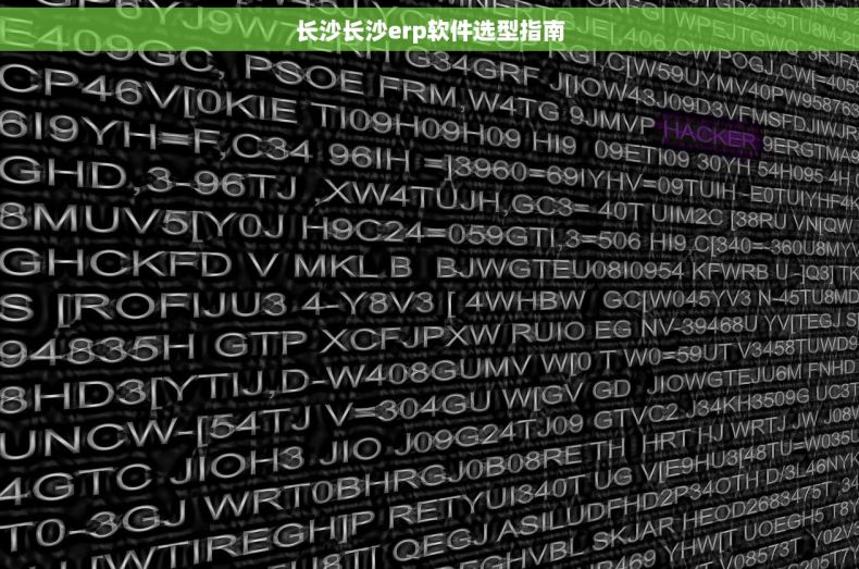 长沙长沙erp软件选型指南