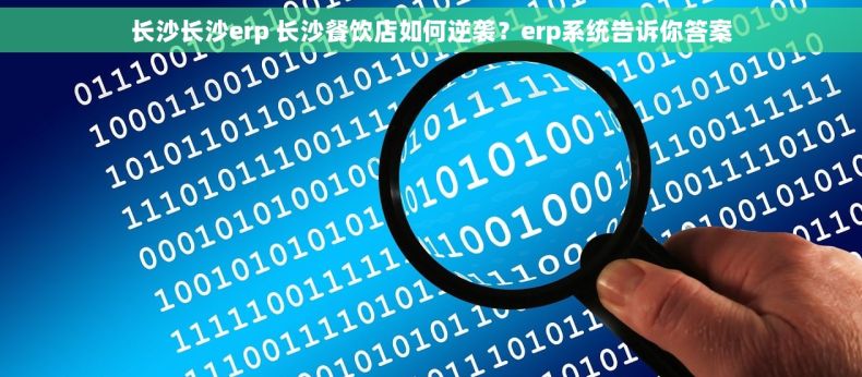 长沙长沙erp 长沙餐饮店如何逆袭？erp系统告诉你答案