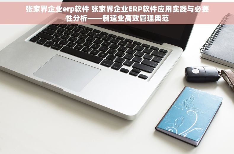 张家界企业erp软件 张家界企业ERP软件应用实践与必要性分析——制造业高效管理典范