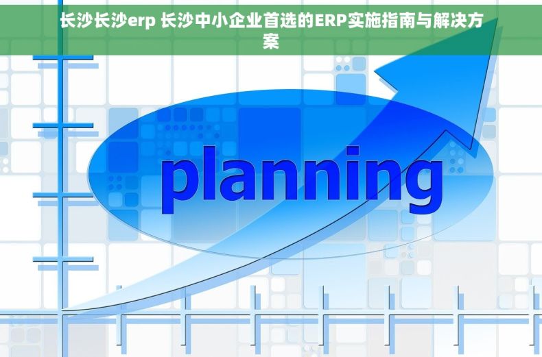 长沙长沙erp 长沙中小企业首选的ERP实施指南与解决方案